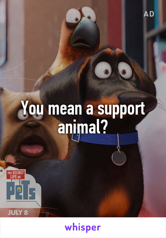 You mean a support animal?