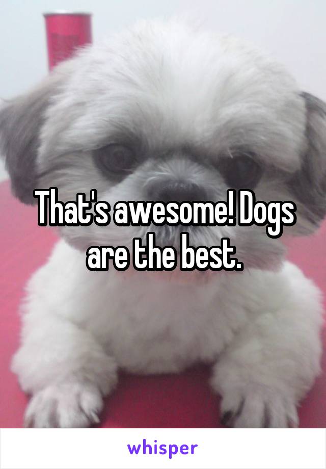 That's awesome! Dogs are the best.