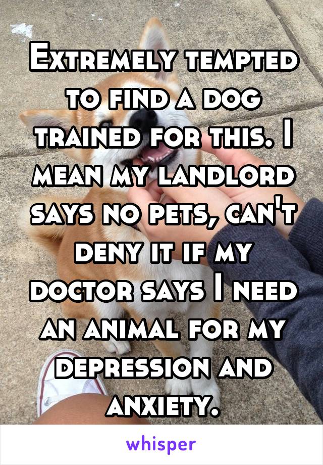 Extremely tempted to find a dog trained for this. I mean my landlord says no pets, can't deny it if my doctor says I need an animal for my depression and anxiety.