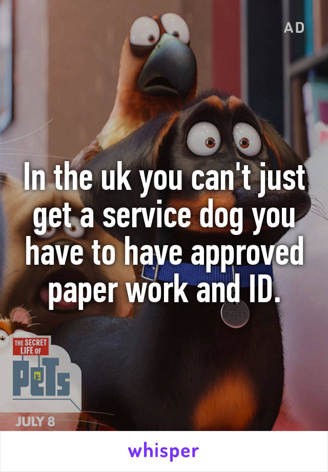 In the uk you can't just get a service dog you have to have approved paper work and ID.