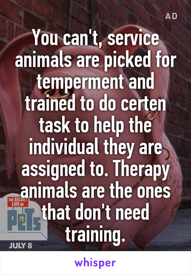 You can't, service animals are picked for temperment and trained to do certen task to help the individual they are assigned to. Therapy animals are the ones that don't need training.