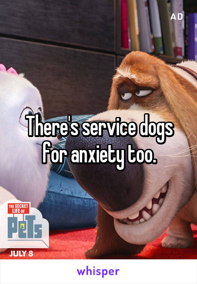 There's service dogs for anxiety too.