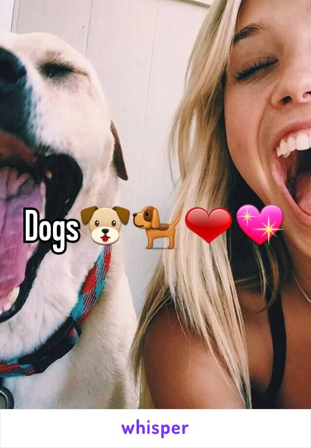 Dogs🐶🐕❤💖
