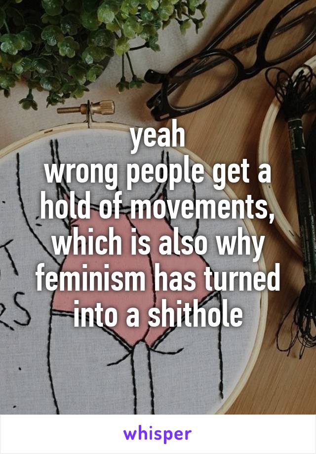 yeah
wrong people get a hold of movements, which is also why feminism has turned into a shithole