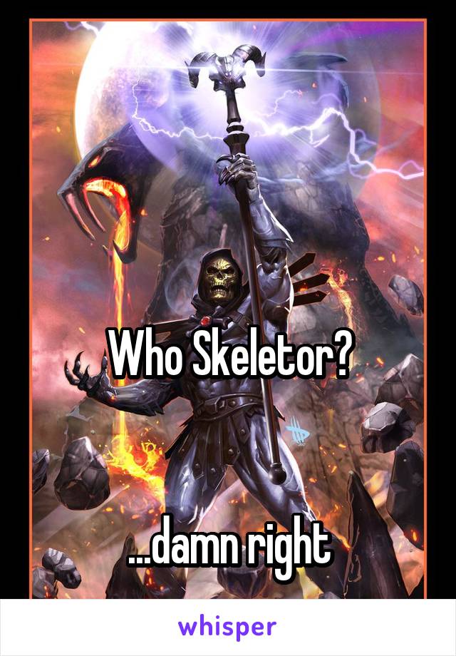 



Who Skeletor?


...damn right