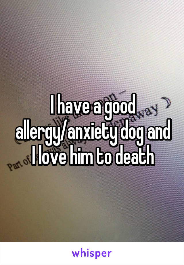 I have a good allergy/anxiety dog and I love him to death