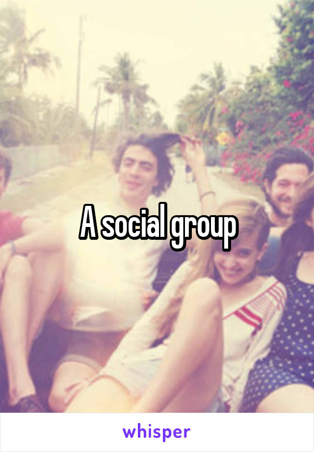 A social group
