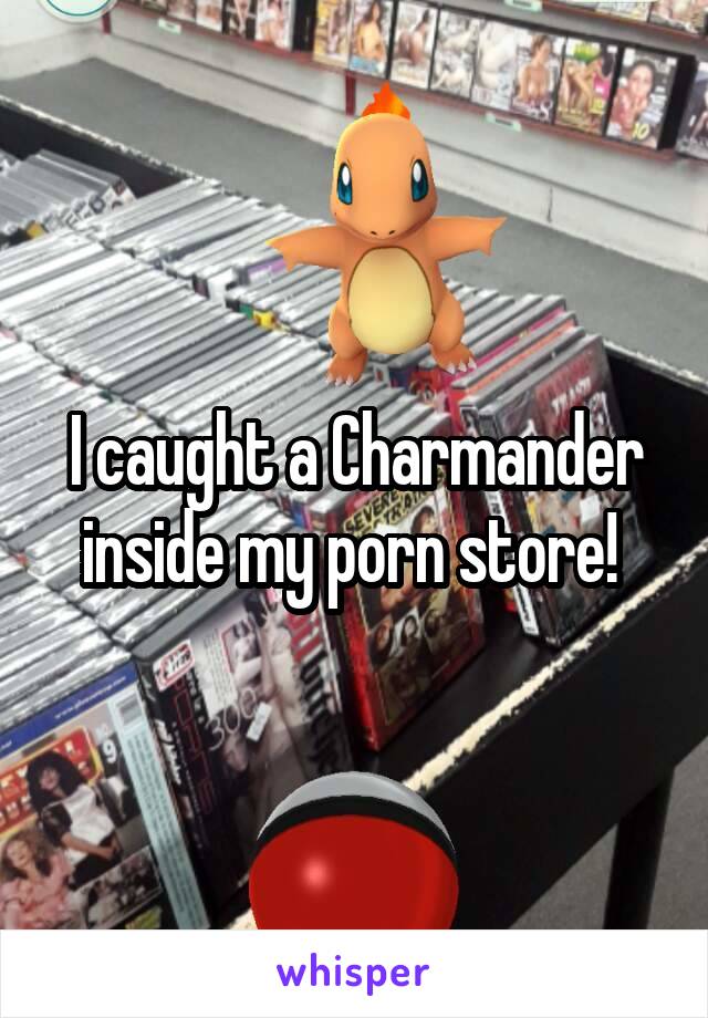 I caught a Charmander inside my porn store! 