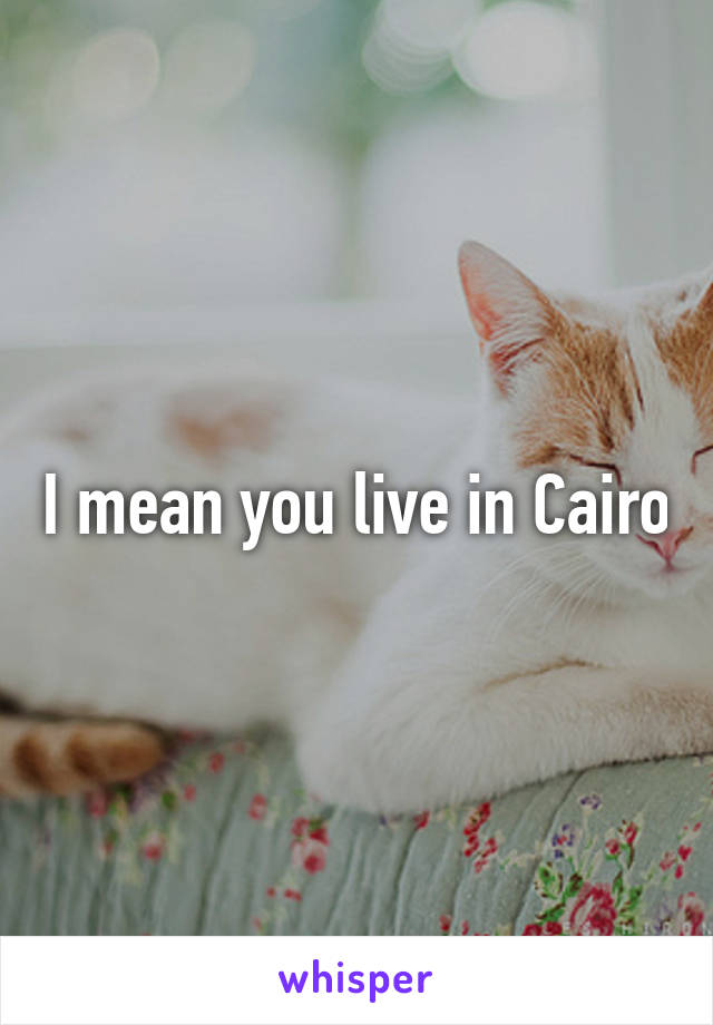 I mean you live in Cairo