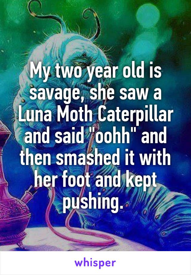 My two year old is savage, she saw a Luna Moth Caterpillar and said "oohh" and then smashed it with her foot and kept pushing. 