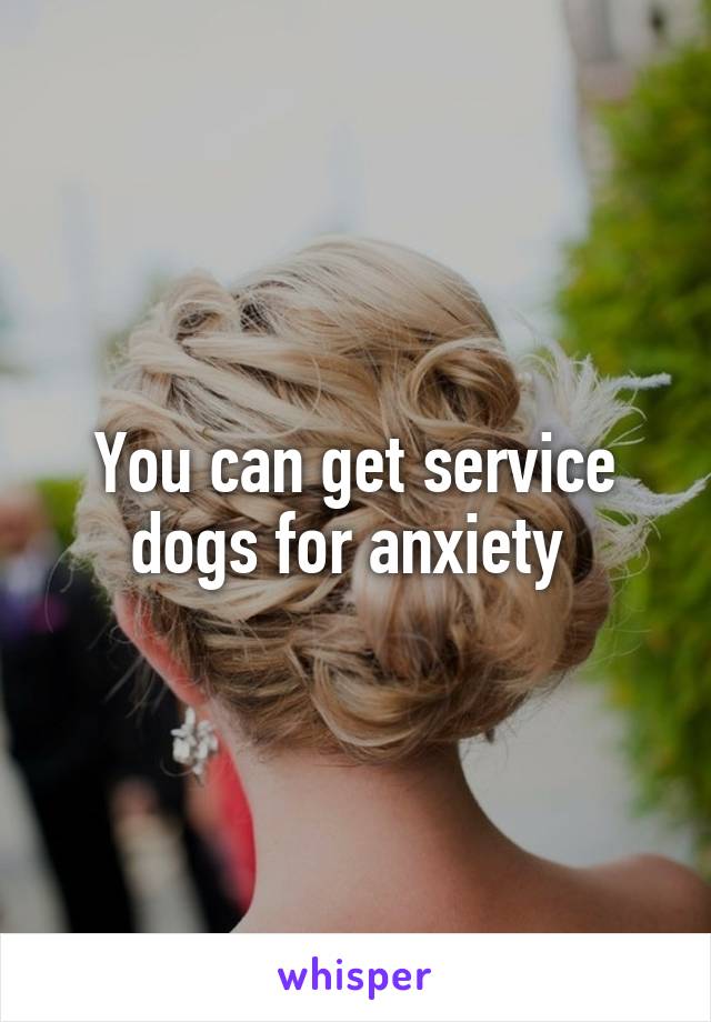 You can get service dogs for anxiety 
