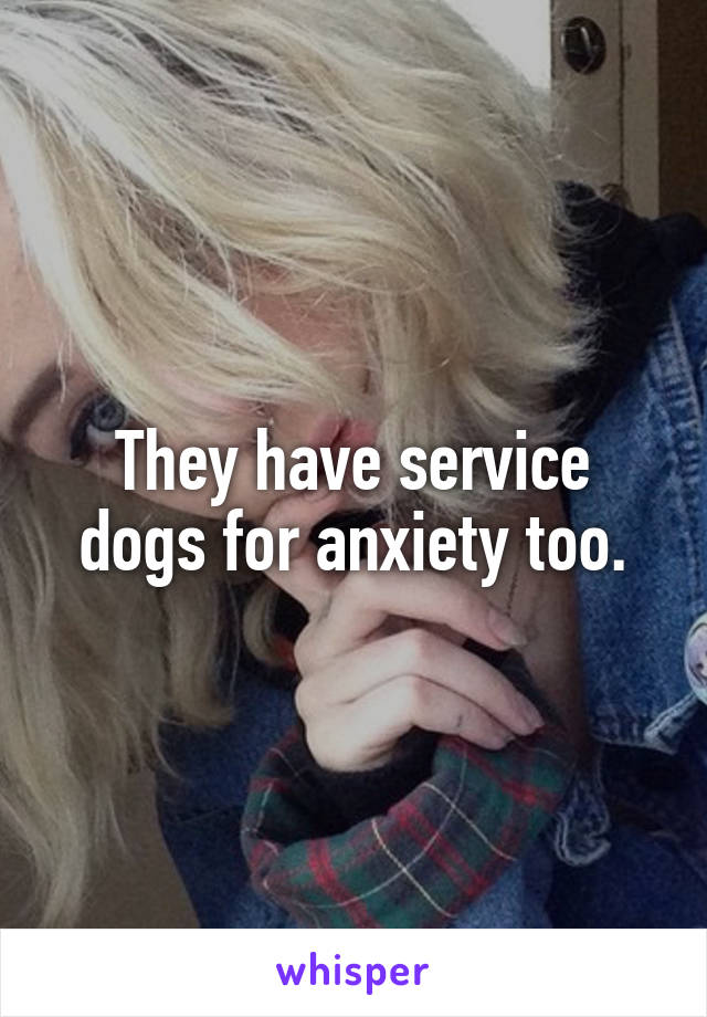 They have service dogs for anxiety too.