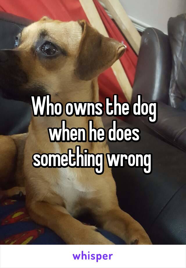 Who owns the dog when he does something wrong 