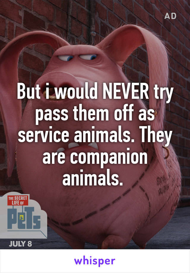 But i would NEVER try pass them off as service animals. They are companion animals. 