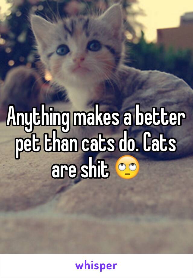 Anything makes a better pet than cats do. Cats are shit 🙄