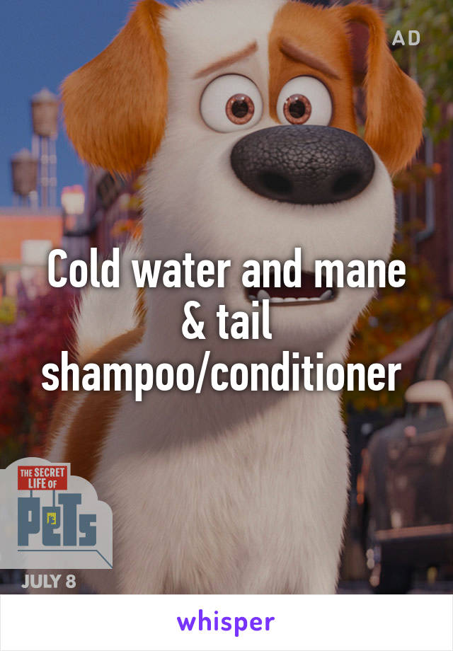 Cold water and mane & tail shampoo/conditioner 