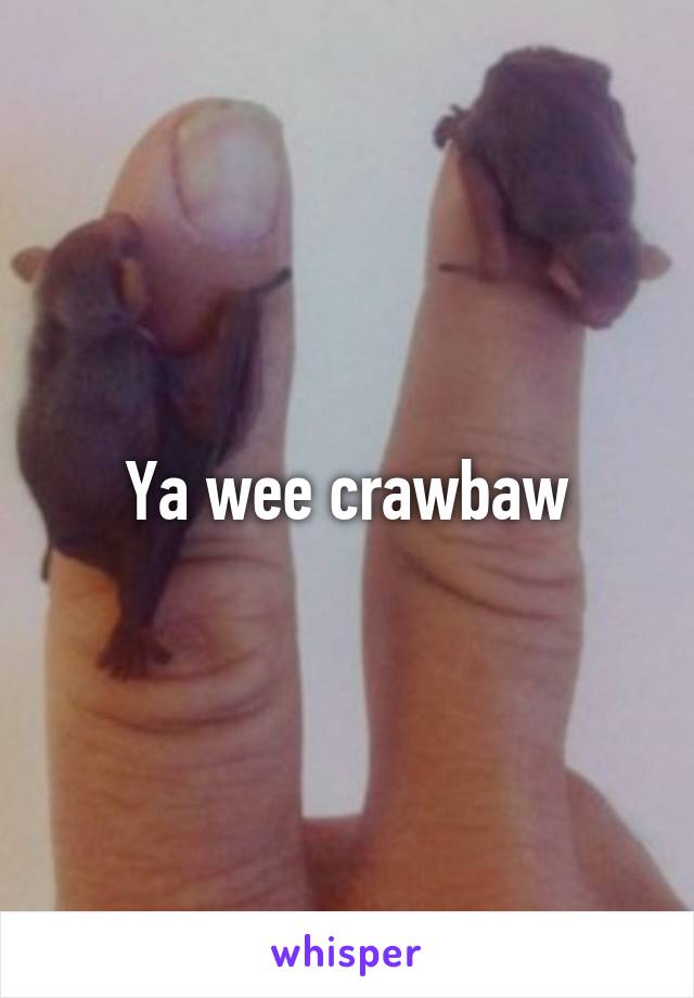 Ya wee crawbaw