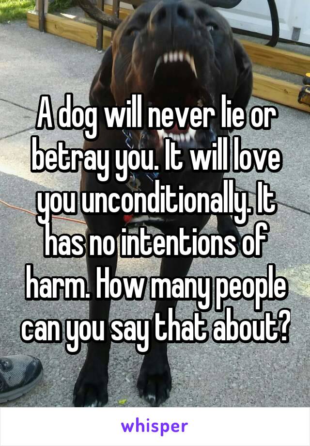 A dog will never lie or betray you. It will love you unconditionally. It has no intentions of harm. How many people can you say that about?