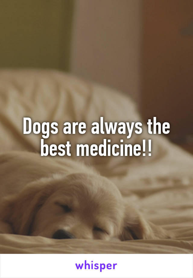 Dogs are always the best medicine!!