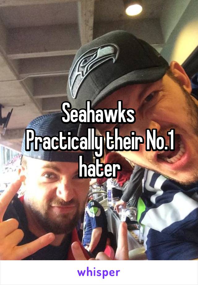 Seahawks 
Practically their No.1 hater