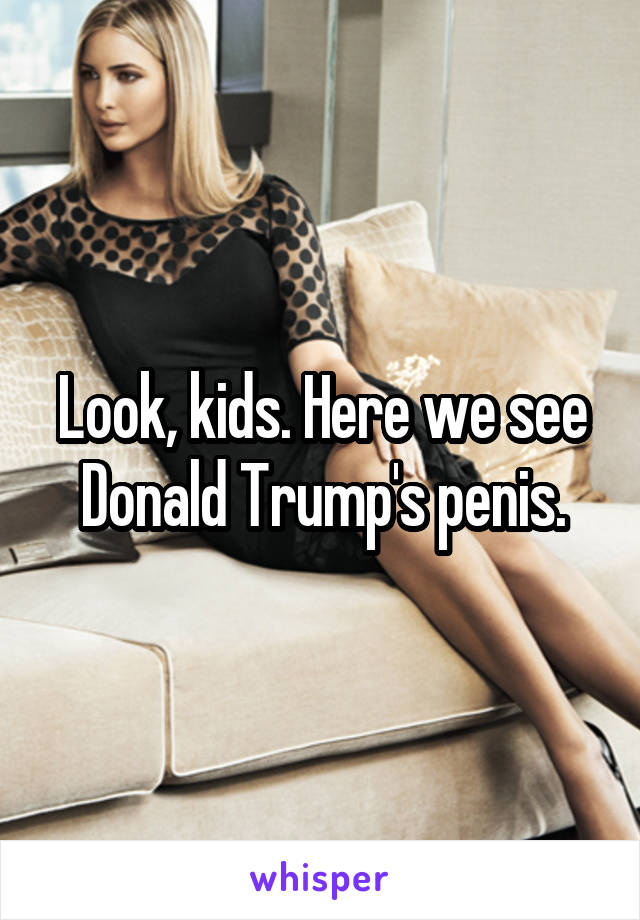 Look, kids. Here we see Donald Trump's penis.