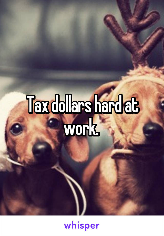 Tax dollars hard at work. 