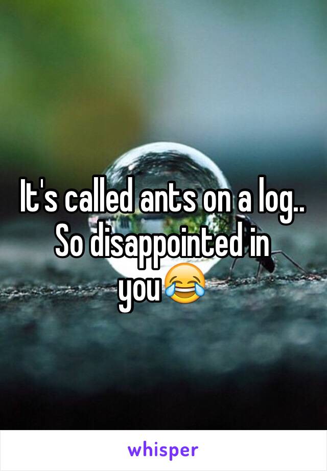 It's called ants on a log.. So disappointed in you😂