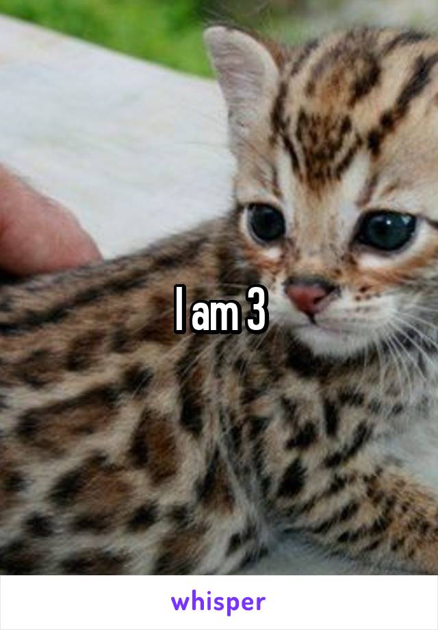 I am 3