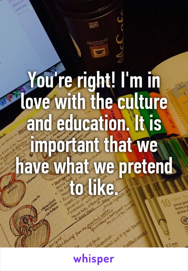 You're right! I'm in love with the culture and education. It is important that we have what we pretend to like.