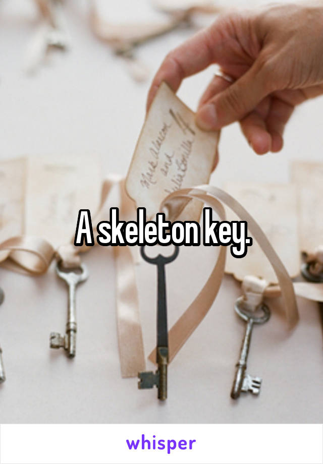 A skeleton key.
