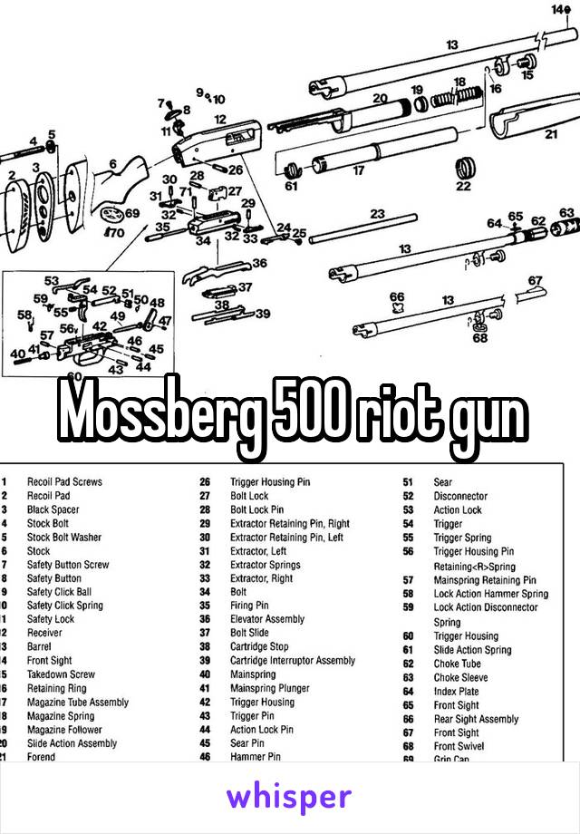 Mossberg 500 riot gun