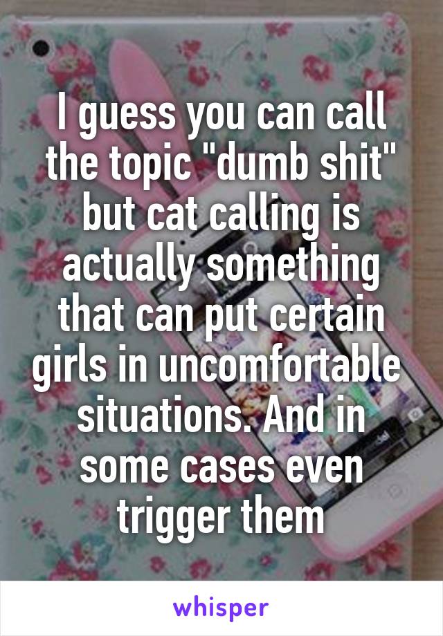 I guess you can call the topic "dumb shit" but cat calling is actually something that can put certain girls in uncomfortable  situations. And in some cases even trigger them