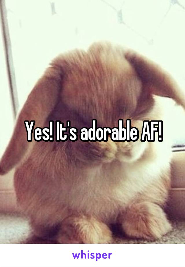 Yes! It's adorable AF!