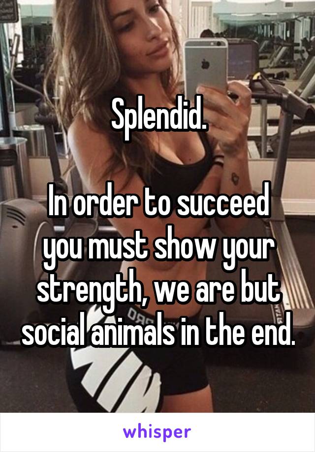 Splendid.

In order to succeed you must show your strength, we are but social animals in the end.