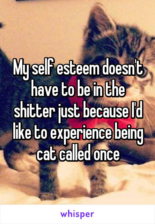 My self esteem doesn't have to be in the shitter just because I'd like to experience being cat called once