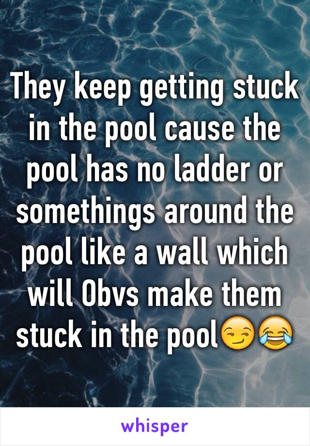 They keep getting stuck in the pool cause the pool has no ladder or somethings around the pool like a wall which will Obvs make them stuck in the pool😏😂
