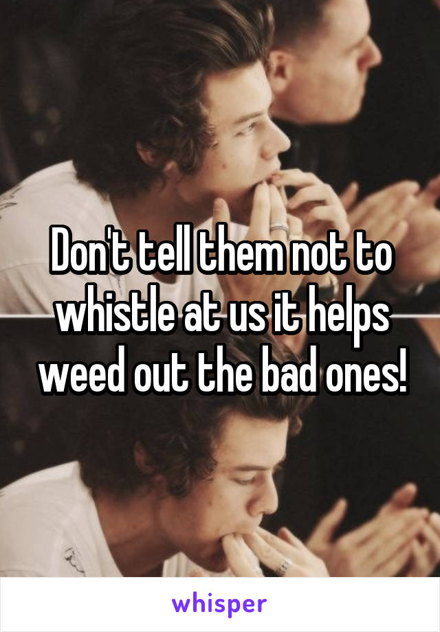 Don't tell them not to whistle at us it helps weed out the bad ones!