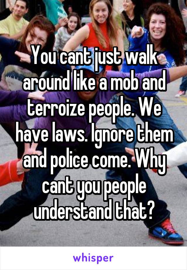 You cant just walk around like a mob and terroize people. We have laws. Ignore them and police come. Why cant you people understand that?