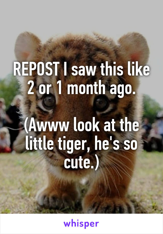 REPOST I saw this like 2 or 1 month ago.

(Awww look at the little tiger, he's so cute.)