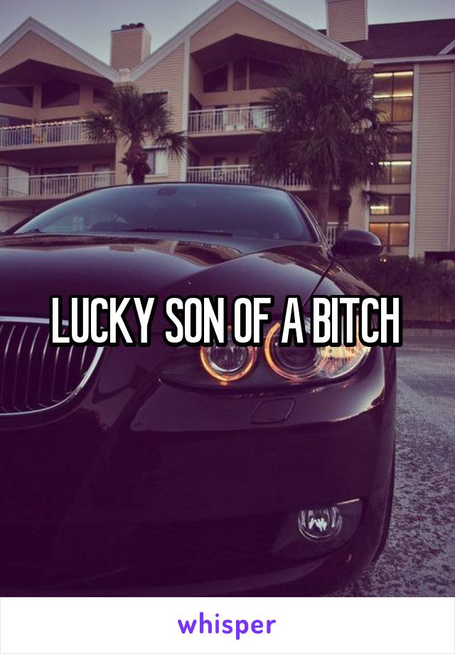 LUCKY SON OF A BITCH 