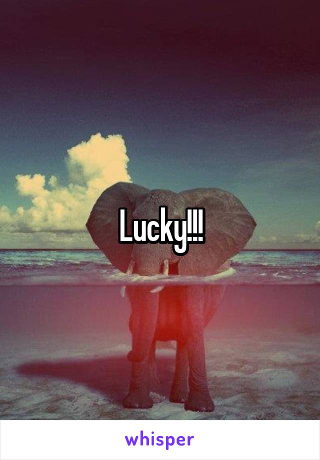 Lucky!!!