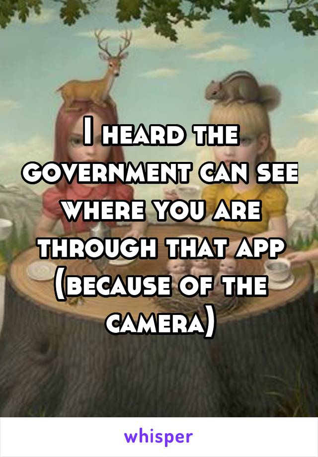 I heard the government can see where you are through that app (because of the camera)