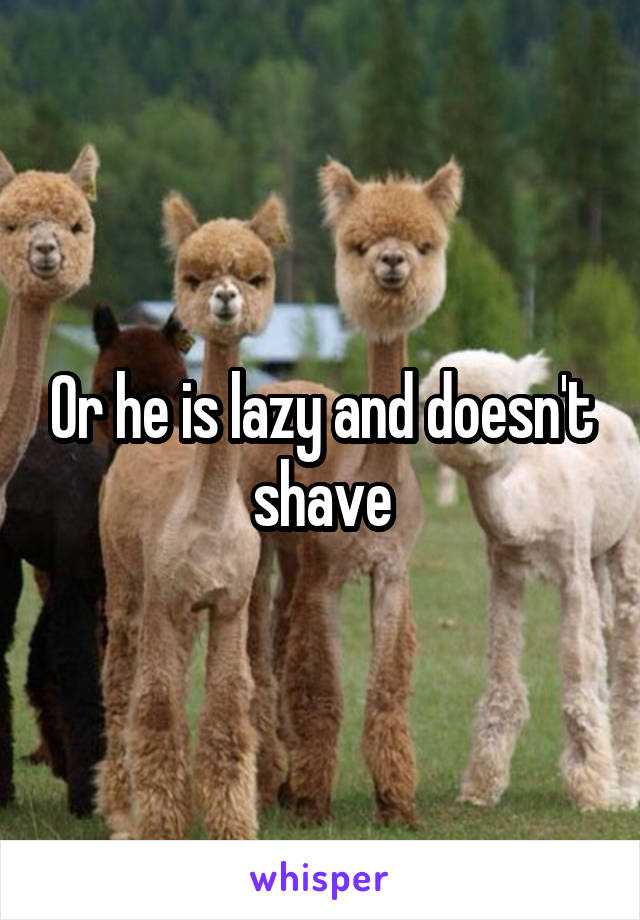 Or he is lazy and doesn't shave
