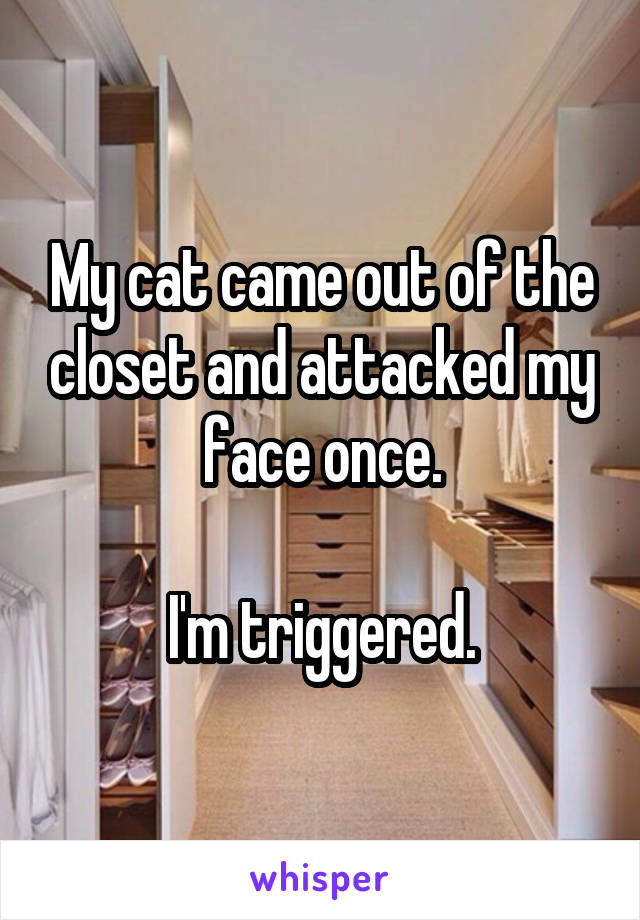 My cat came out of the closet and attacked my face once.

I'm triggered.