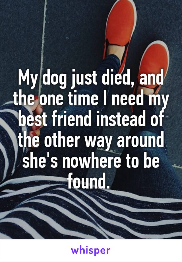 My dog just died, and the one time I need my best friend instead of the other way around she's nowhere to be found. 