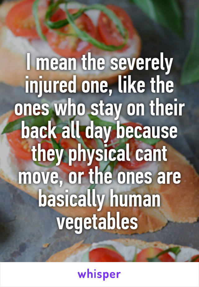 I mean the severely injured one, like the ones who stay on their back all day because they physical cant move, or the ones are basically human vegetables 