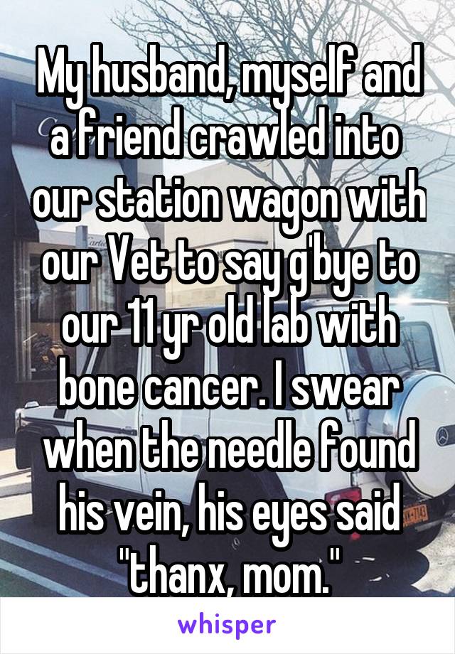 My husband, myself and a friend crawled into  our station wagon with our Vet to say g'bye to our 11 yr old lab with bone cancer. I swear when the needle found his vein, his eyes said "thanx, mom."