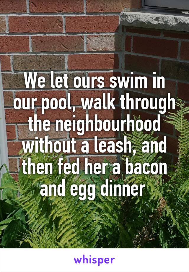 We let ours swim in our pool, walk through the neighbourhood without a leash, and then fed her a bacon and egg dinner 