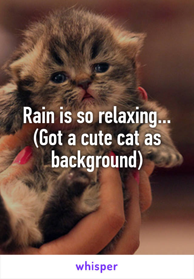 Rain is so relaxing... (Got a cute cat as background)