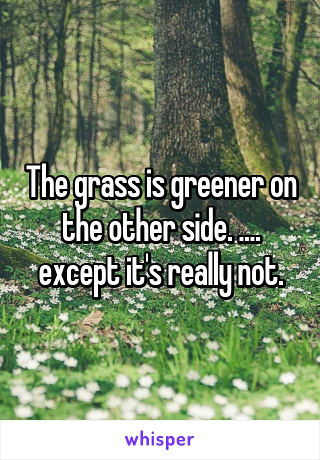 The grass is greener on the other side. .... except it's really not.